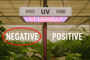 ต้องการแสง UV เพื่อการเจริญเติบโตหรือไม่เป็นลบ vs Positive Stance.png