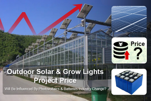 Der Projektpreis f&uuml;r Solar- und Wachstumsleuchten f&uuml;r den Au&szlig;enbereich wird durch Ver&auml;nderungen in der Branche f&uuml;r Solarphotovoltaik und Batterien beeinflusst.jpg
