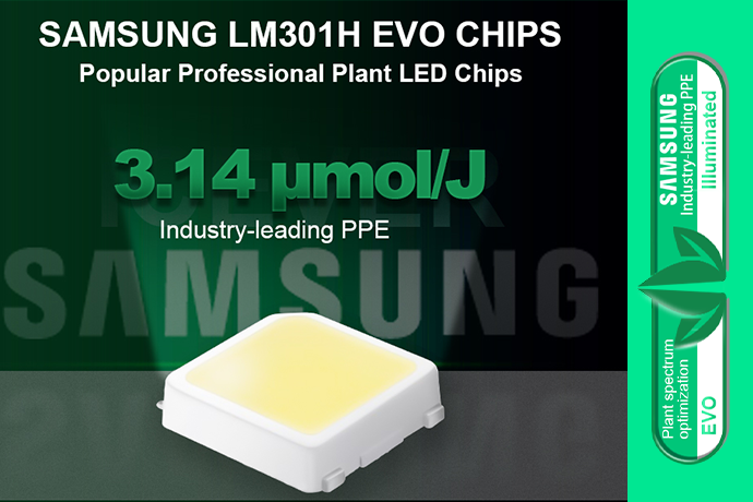 Newsletter&nbsp;: La puce Samsung 301H EVO a maintenant &eacute;t&eacute; ajout&eacute;e &agrave; notre liste d'options personnalisables.