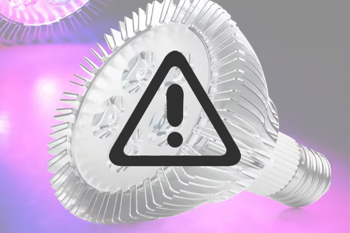 Newsletter : S&eacute;rie GB - Nous avons d&eacute;cid&eacute; d'arr&ecirc;ter la vente de bulbes de culture.