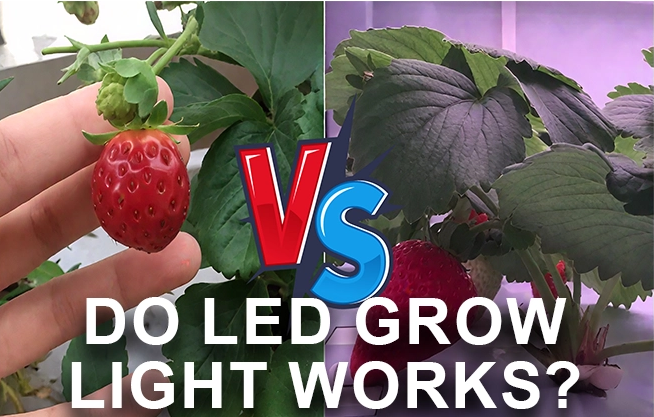 La luce progressiva a LED funziona? 