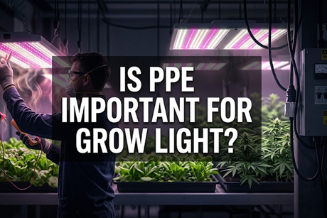 L'EPI est-il important pour Grow Light.png