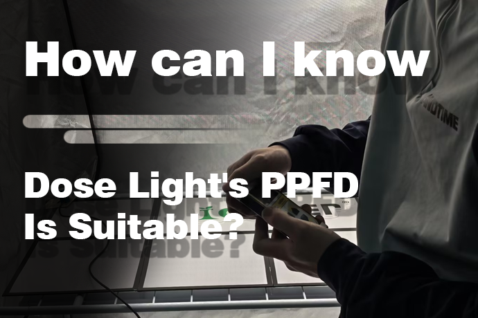 Как я могу узнать, подходит ли PPFD для светильника (на каком расстоянии)?