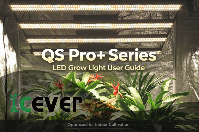 Guide de montage | QS Pro+ Grow Light Installation compl&egrave;te et configuration du contr&ocirc;le intelligent
